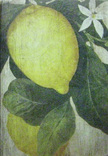 Lemon Swirl